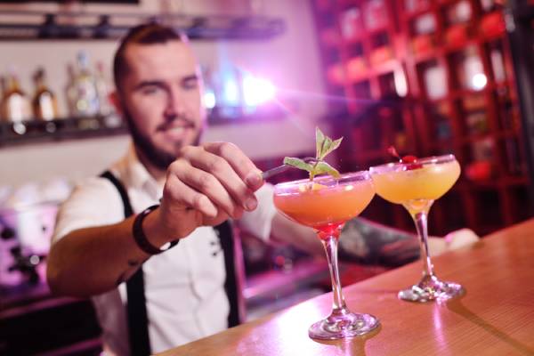 CV barman - šablóna